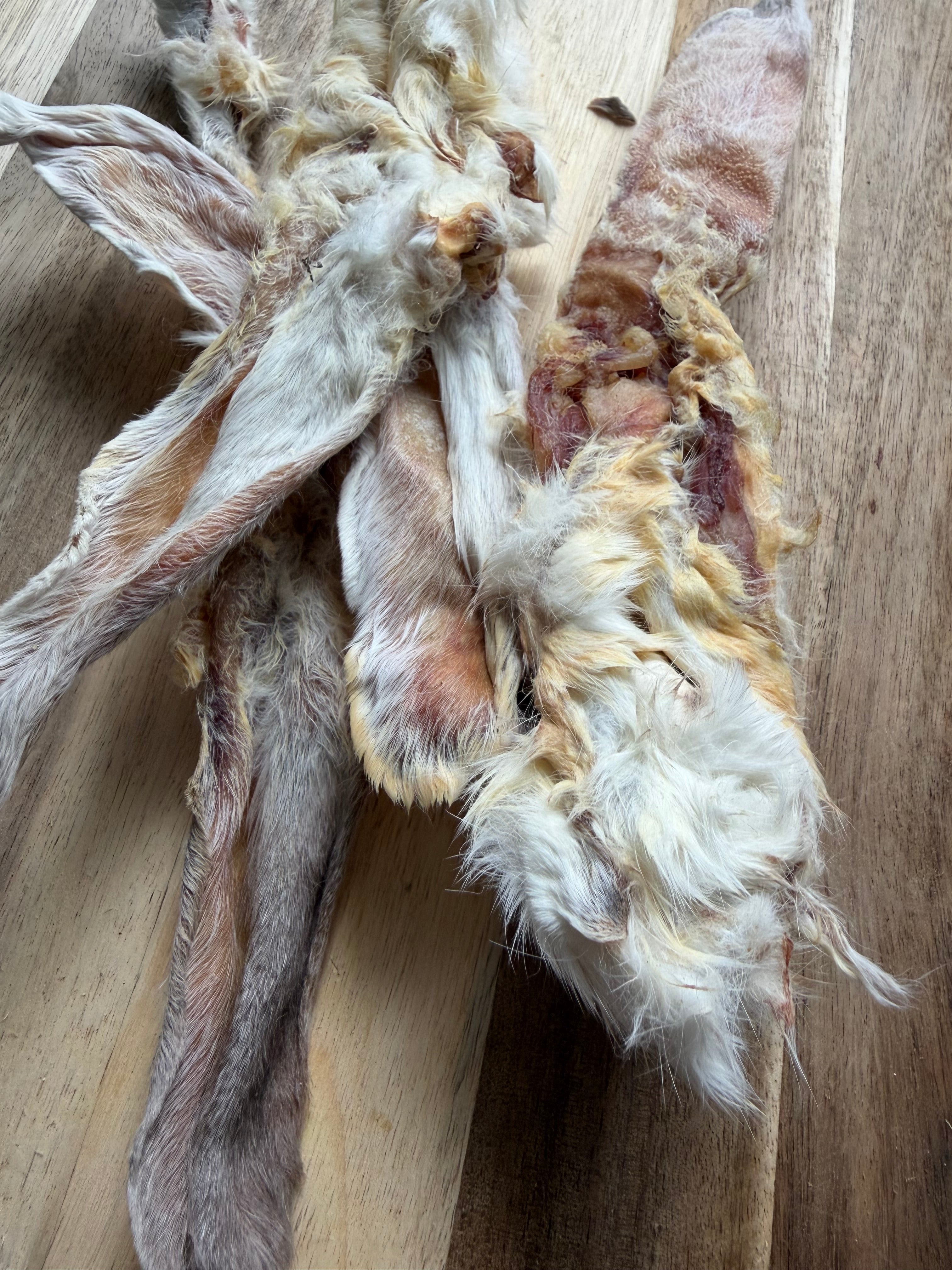 10 Hairy Rabbit Ears